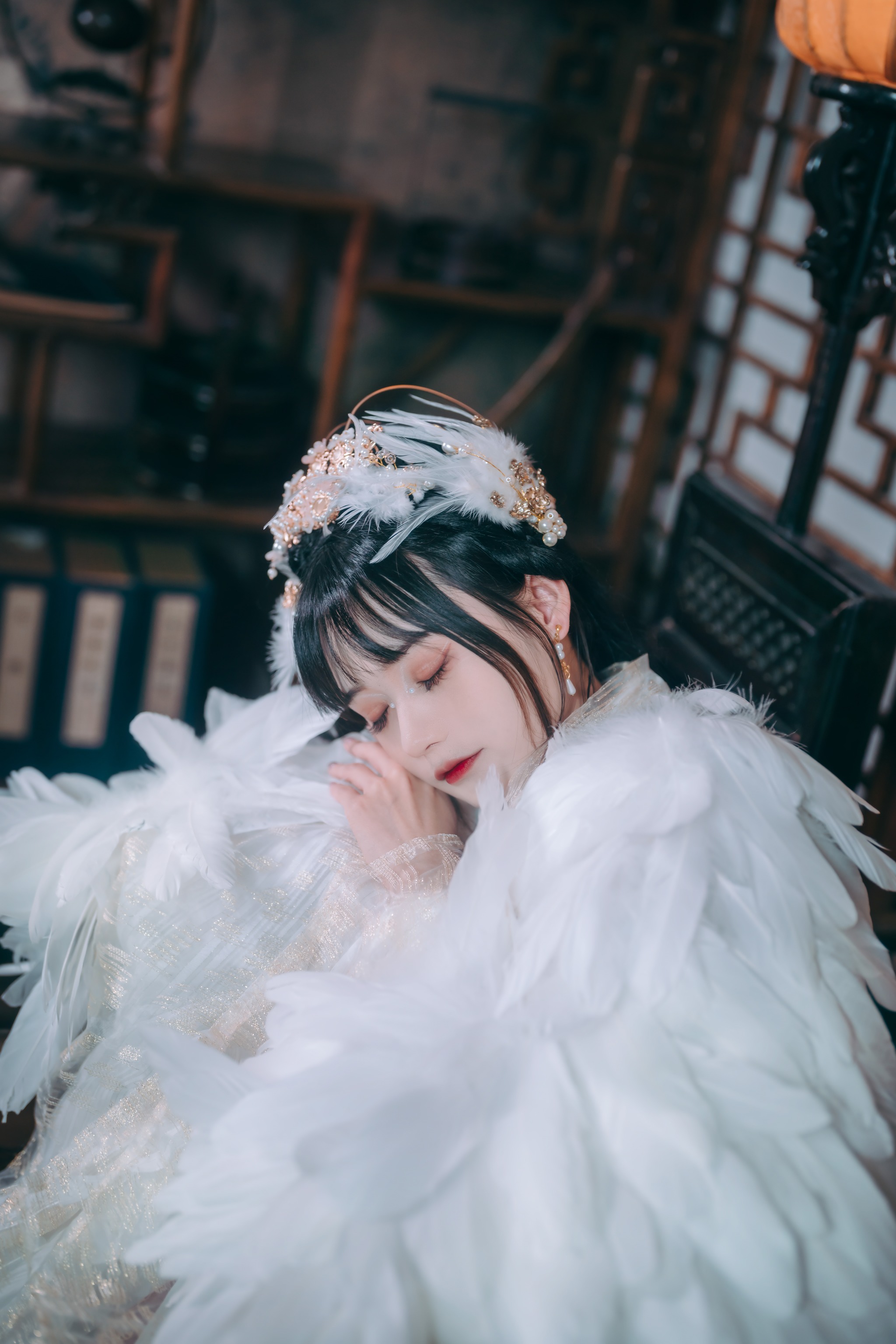 图片[1]-兔子Zzz不吃胡萝卜 – NO.101 吉祥鸟[21P]-XikXak